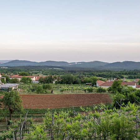 Apartma Oddih Dutovlje 外观 照片